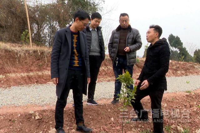 回乡致富项目_致富返乡种植项目申请书_返乡种植致富项目