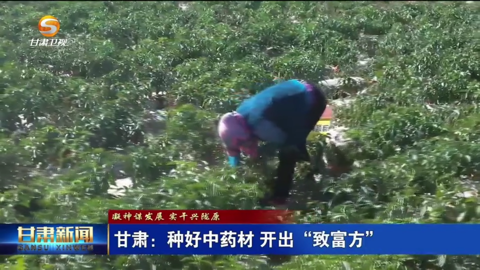 甘肃临夏种植致富新闻宣传_甘肃农村种植致富好项目_甘肃的种植业