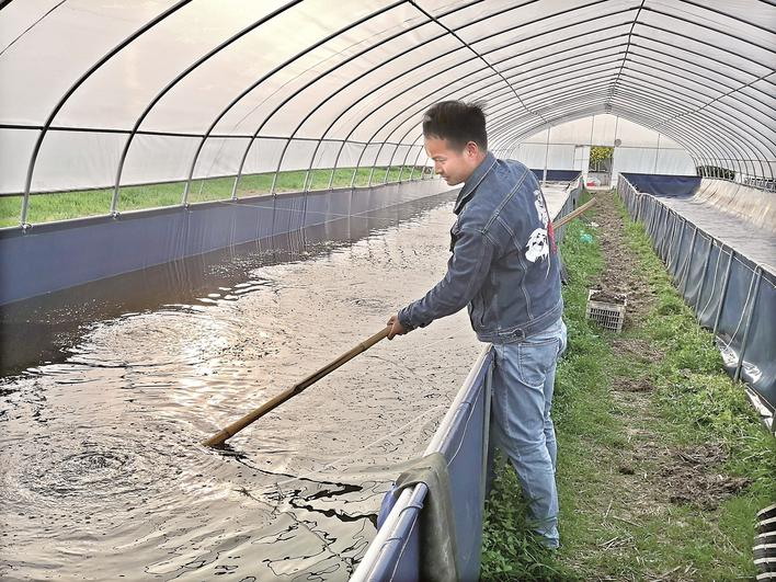 养殖鱼虾的过程_虾蟹鱼养殖技术_养鱼养虾养蟹哪个好养