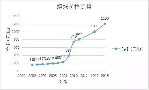 养殖蚂蝗有什么风险_蚂咋养殖技术_蚂蟥高产养殖技术