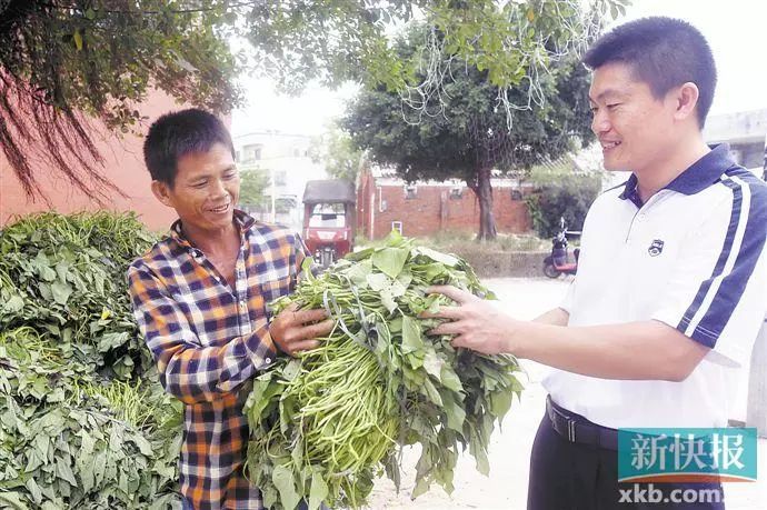 湛江养殖致富项目_湛江农村养殖什么好_致富养殖湛江项目有哪些