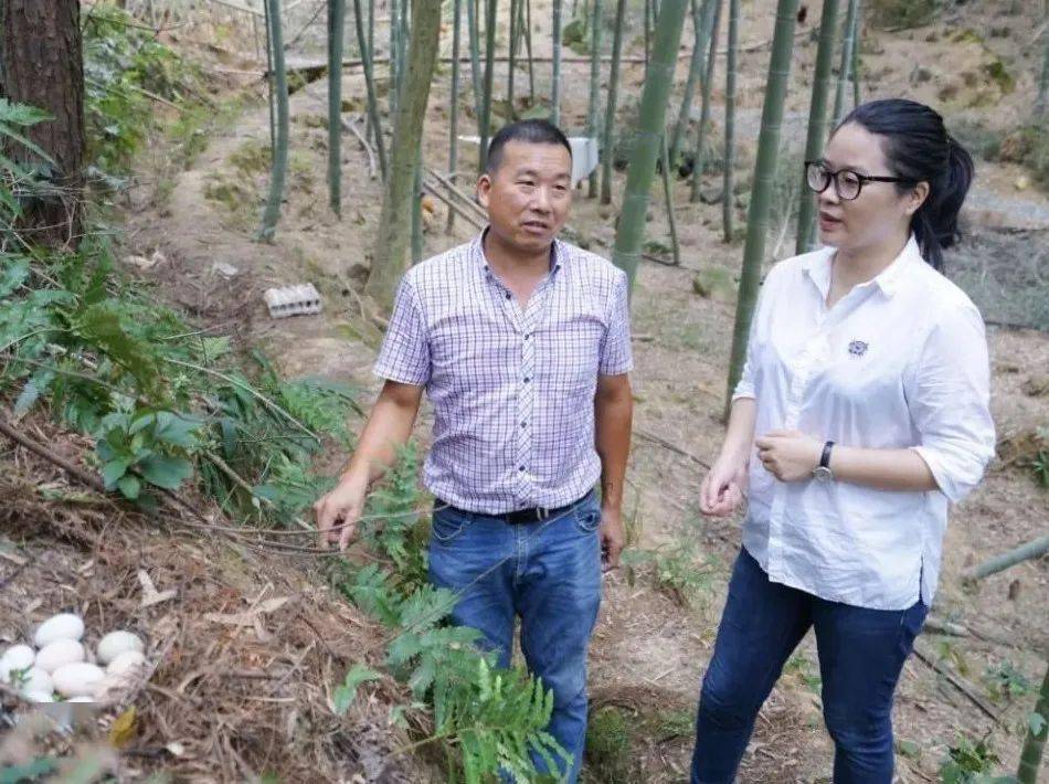 种草莓发家致富_种草莓能致富吗_草莓种植致富女能人