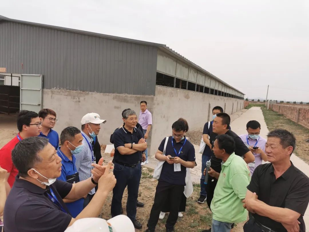 辽宁肉牛养殖基地_辽宁养殖肉牛犊技术培训_辽宁肉牛犊养殖技术