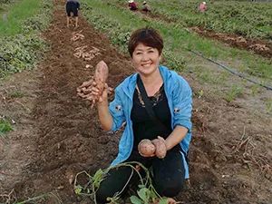 种植草莓能挣钱吗_种草莓发家致富_草莓种植致富女能人