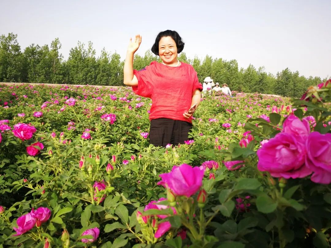 种植草莓能挣钱吗_种草莓发家致富_草莓种植致富女能人