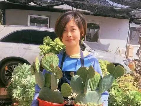 草莓种植致富女能人_种植草莓能挣钱吗_种草莓发家致富