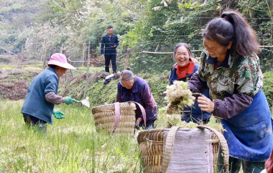 种植泡椒致富_致富种植泡椒视频_致富种植泡椒好吗