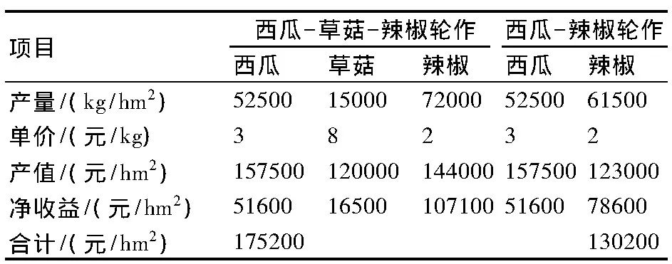 致富经四川羊肚菌地址_四川羊肚菌菌种公司_四川羊肚菌种植合作社在哪里