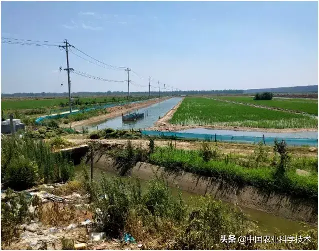 螃蟹养殖业_福建河螃蟹养殖技术_福建有没有螃蟹养殖基地