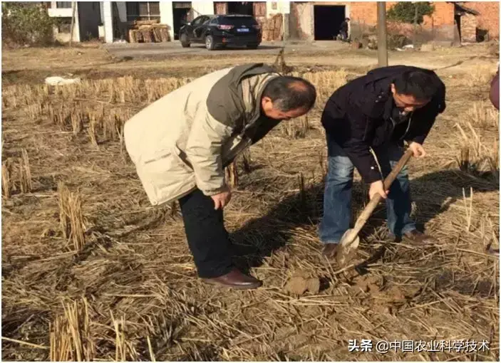 福建河螃蟹养殖技术_福建有没有螃蟹养殖基地_螃蟹养殖业