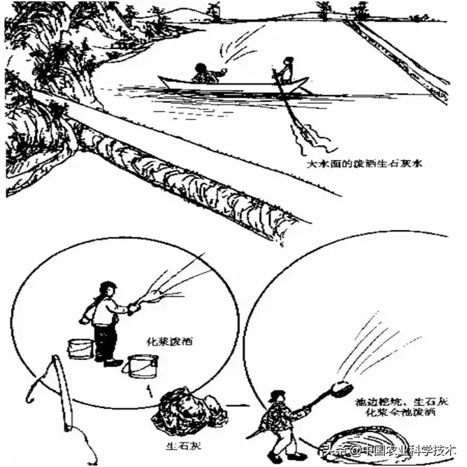 福建河螃蟹养殖技术_福建有没有螃蟹养殖基地_螃蟹养殖业