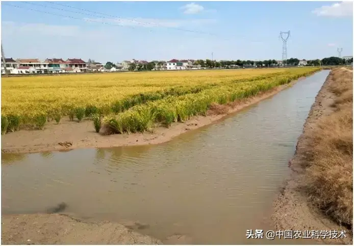 螃蟹养殖业_福建有没有螃蟹养殖基地_福建河螃蟹养殖技术