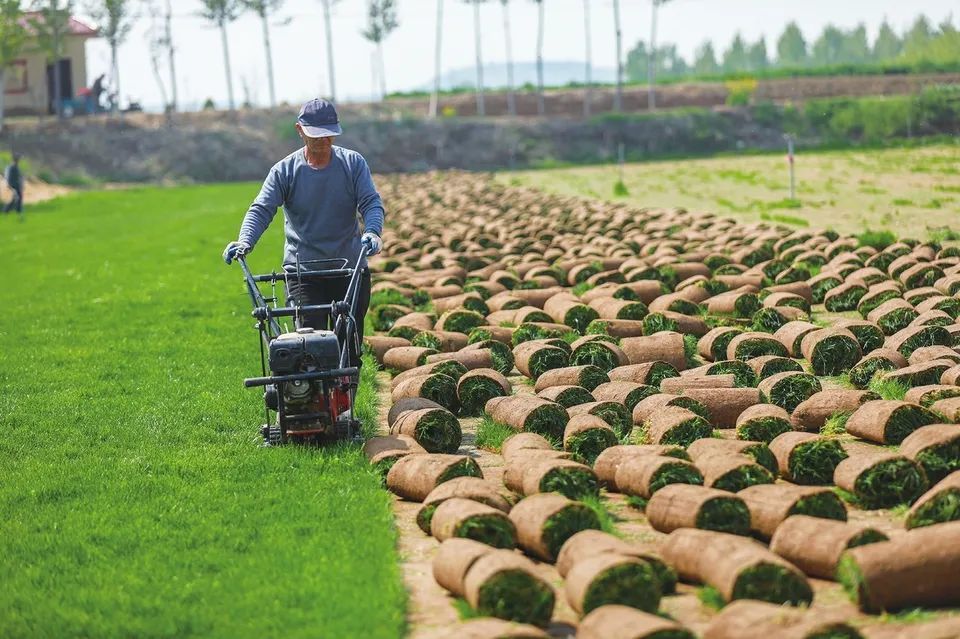 种养致富项目_种植养殖致富_种草养殖致富