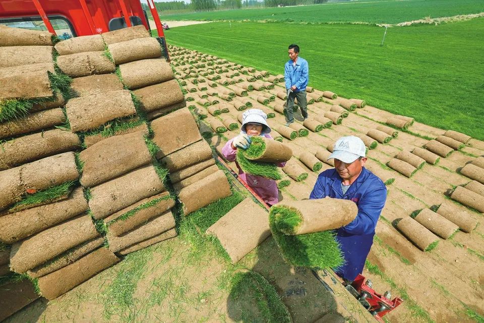 种养致富项目_种草养殖致富_种植养殖致富