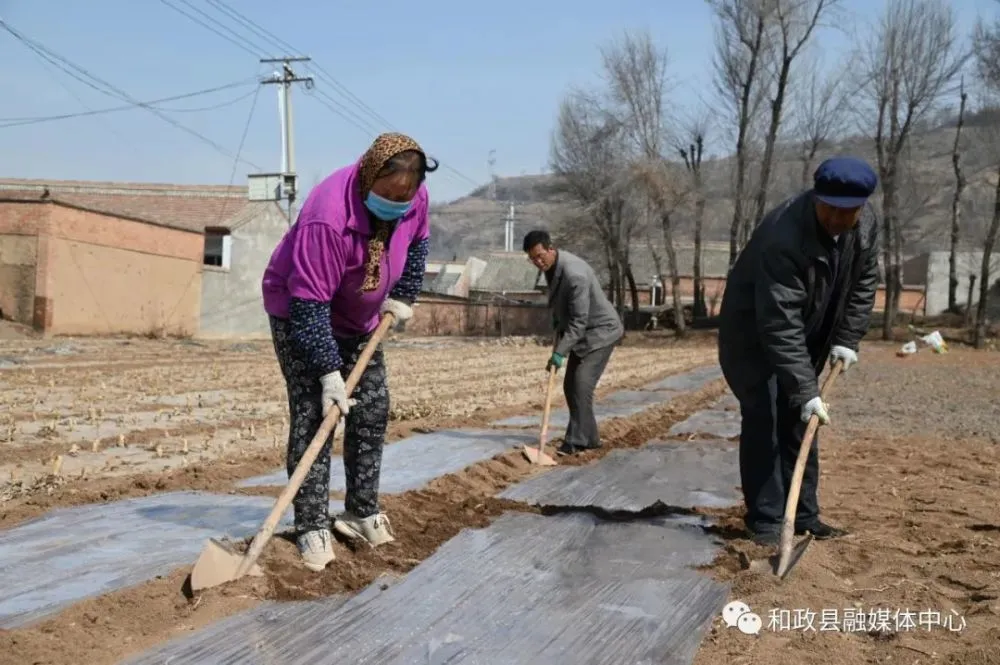 养鹿养殖致富_致富经养鹿_致富经养鹿八年五万变百万