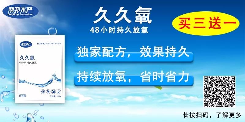 毛蟹养殖技术池养视频_养殖毛蟹池塘视频_毛蟹养殖技术池养