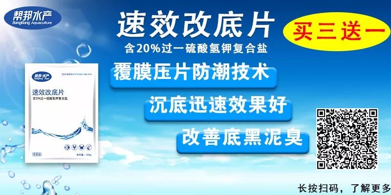 毛蟹养殖技术池养_养殖毛蟹池塘视频_毛蟹养殖技术池养视频