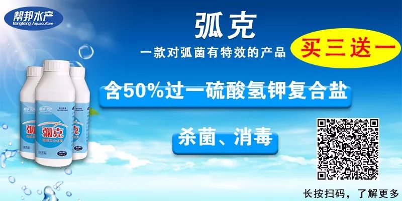 毛蟹养殖技术池养_毛蟹养殖技术池养视频_养殖毛蟹池塘视频