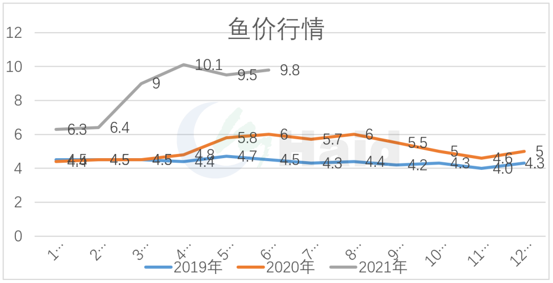 家养观赏小草鱼饲养方法_养小草鱼好方法_小草鱼怎么养殖技术