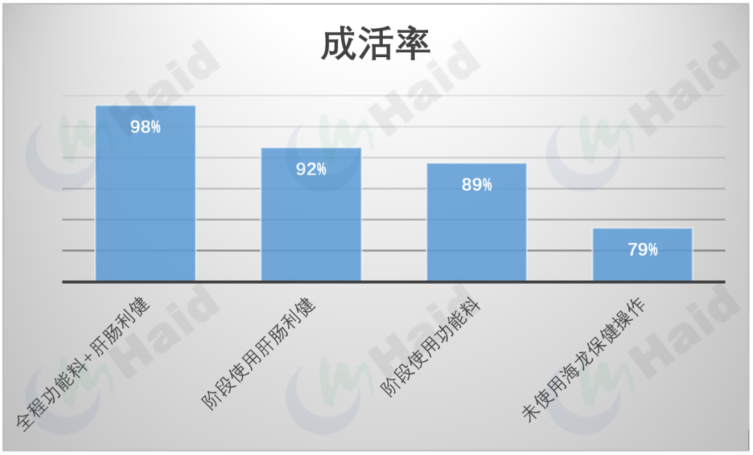 小草鱼怎么养殖技术_家养观赏小草鱼饲养方法_养小草鱼好方法