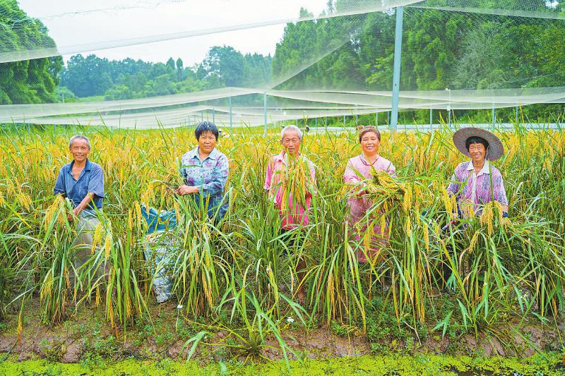 科技成果“变现”让村民增收同生态保护兼顾稻下养蛙 撂荒地亩均增收2万元