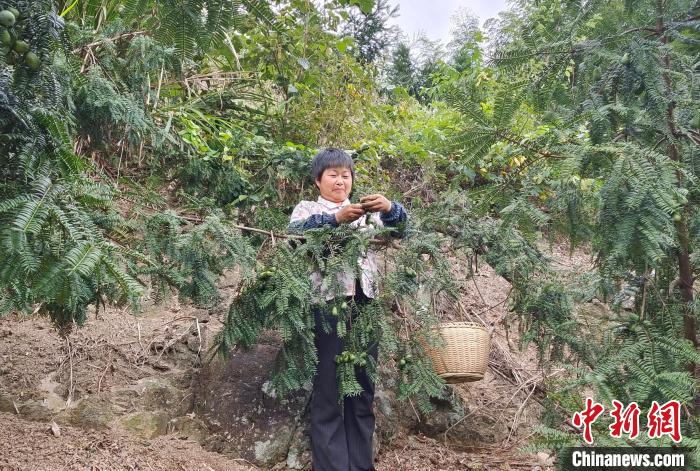 致富经 富传奇_传奇富贵人_达人致富学靠你的专业享富人生