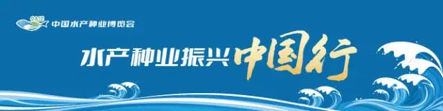 马黄的养殖技术资料_怎样养殖马黄_马养殖技术视频教程