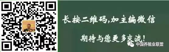 马养殖技术视频教程_怎样养殖马黄_马黄的养殖技术资料