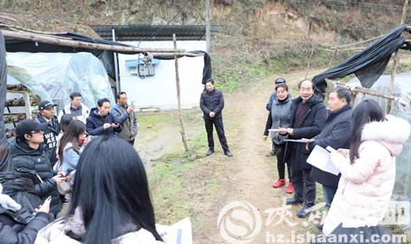 陕西花生主要种植区域_陕西种植花生致富_陕西有没有花生基地