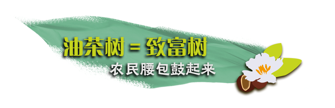 青山绿水农业种植公司简介_绿水青山种植致富树图片_青山致富种植绿水树图片大全