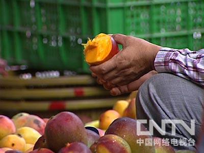 致富经 盐碱地_盐碱地适合种植什么经济作物_盐碱地治理亩补助多少