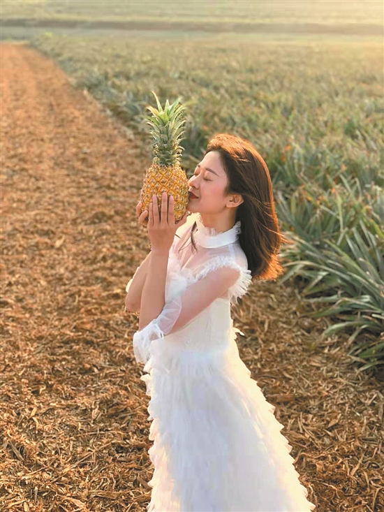 徐闻菠萝种植致富_徐闻菠萝种植面积_徐闻菠萝亩产量