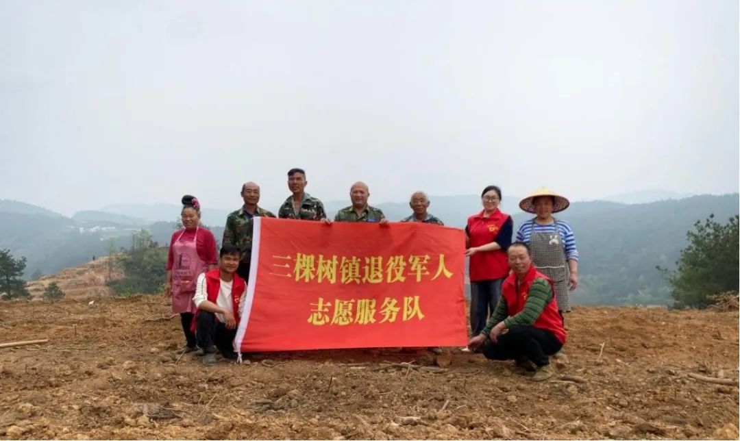 致富水果种植黑色叶子_水果种类黑色_种植黑色水果致富