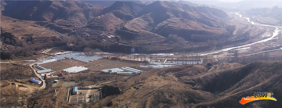 深山适合种植什么_深山种植什么赚钱_深山种植致富花