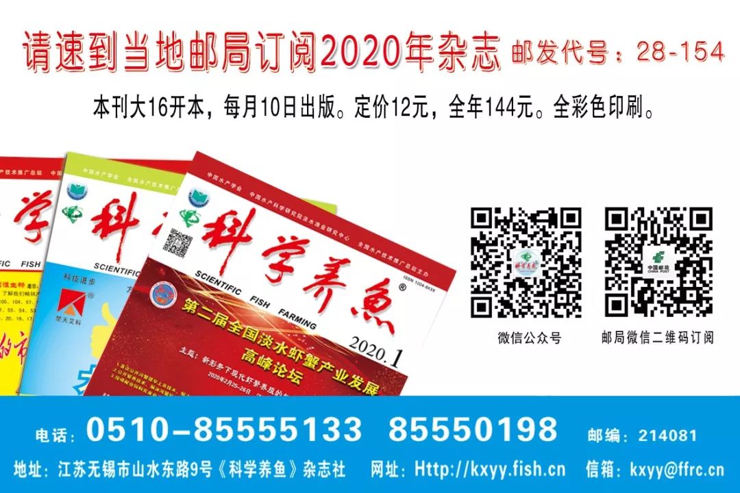 全面禁食野生动物！四川7000万只青蛙“不敢醒”，持证养殖户何去何从？