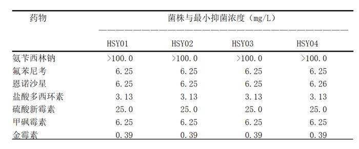 致富经黄颡鱼养殖技术_致富经黄颡鱼_致富经养大黄鱼