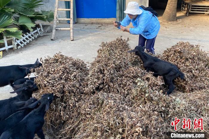 致富养殖什么最赚钱_养殖致富小吃_致富养殖好项目