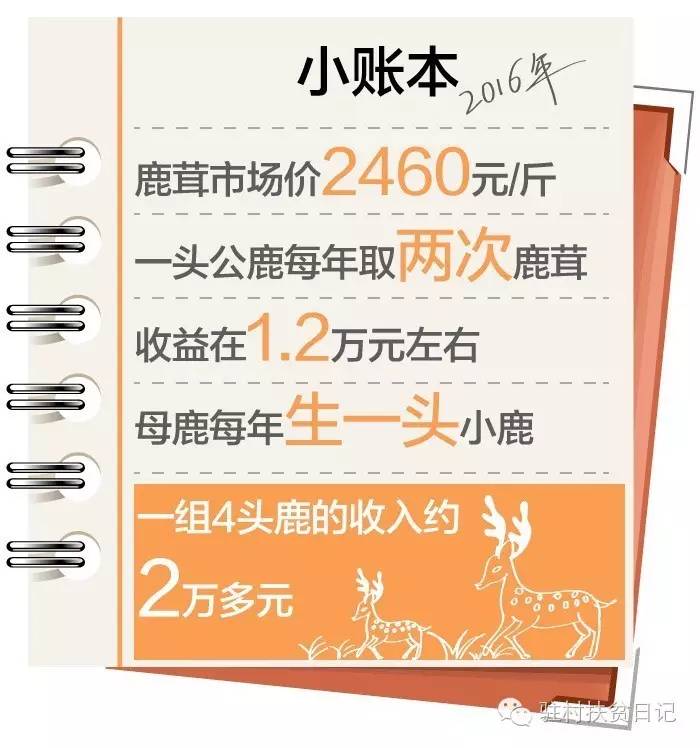 致富经养牛云南_云南养牛赚钱吗_致富云南养牛视频