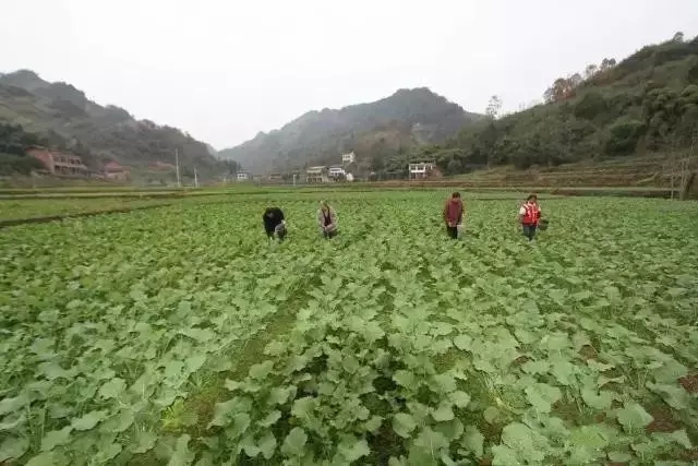 养殖致富之路_养殖致富门路呀_致富养殖门路图片大全