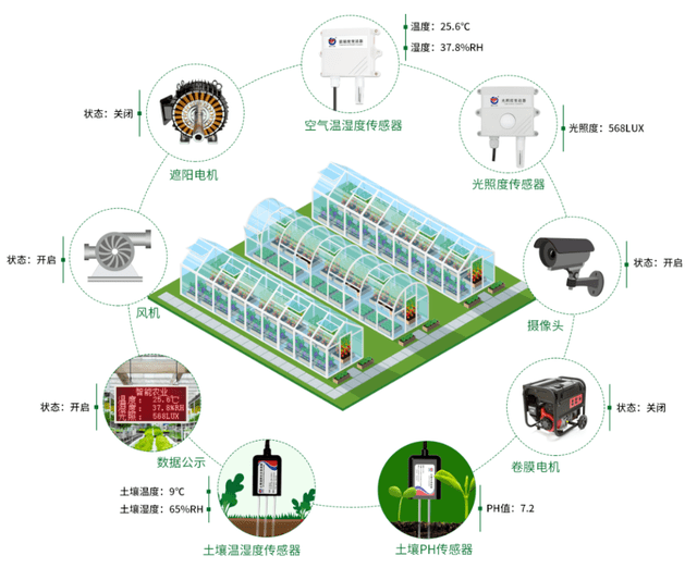 种蔬菜致富经_致富经蔬菜种植_中国种植蔬菜致富原因