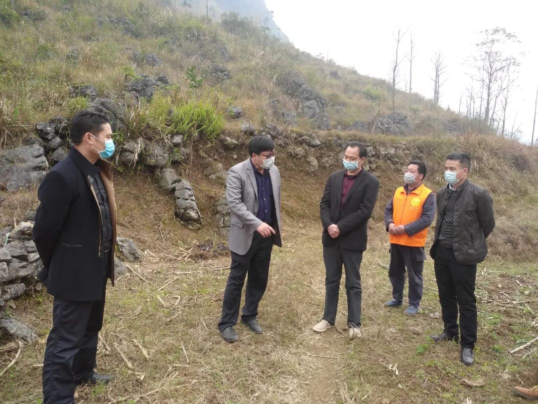 高山养猪场_高山村致富养殖_高山养殖场