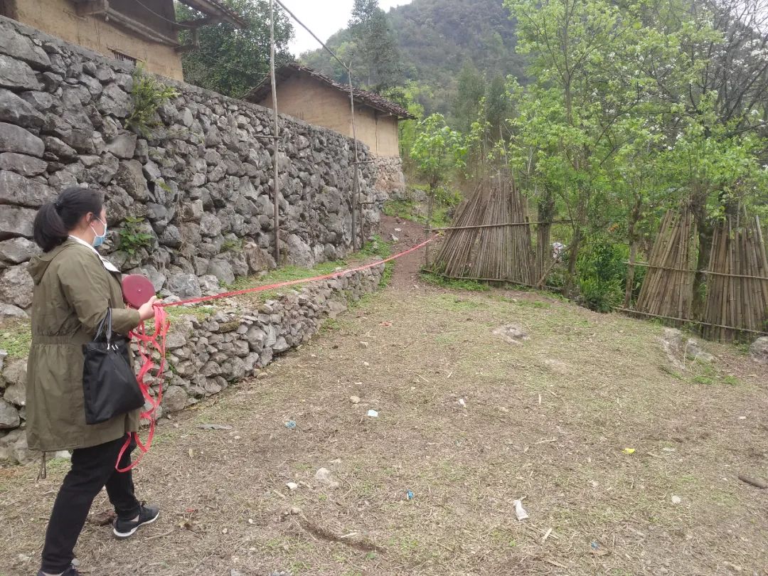 高山养殖场_高山养猪场_高山村致富养殖