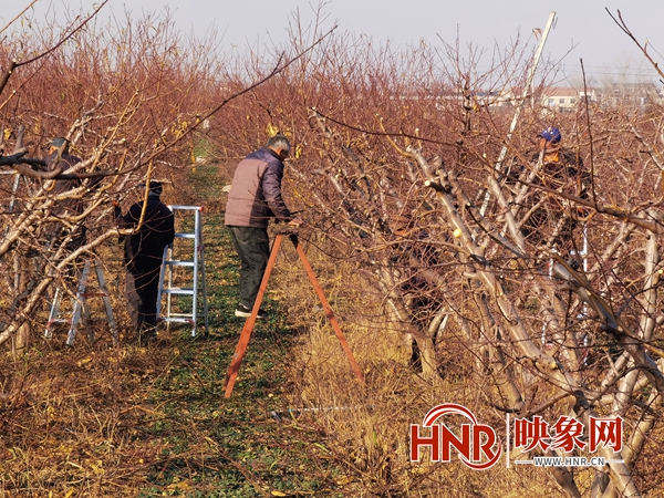 致富鸭子养殖业怎么样_致富鸭子养殖业有哪些_致富经养殖业鸭子