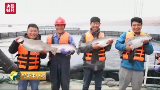 青海农村养殖好项目_青海养殖致富项目_青海搞养殖