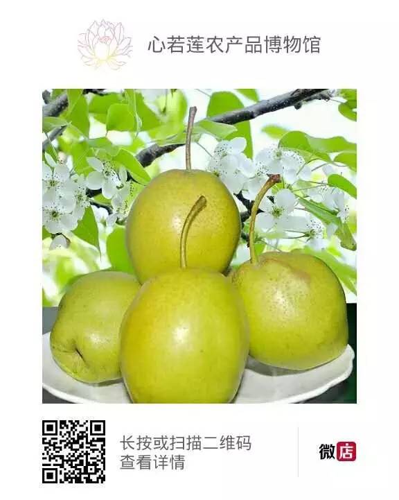 2013致富经黄粉虫_2013致富经黄粉虫_2013致富经黄粉虫