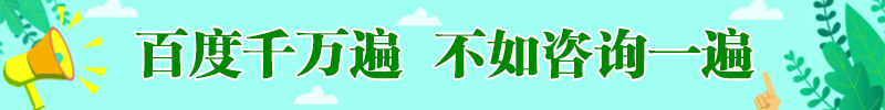 紫玉兰树苗 紫玉兰小苗价格 12~15~20公分紫玉兰价格