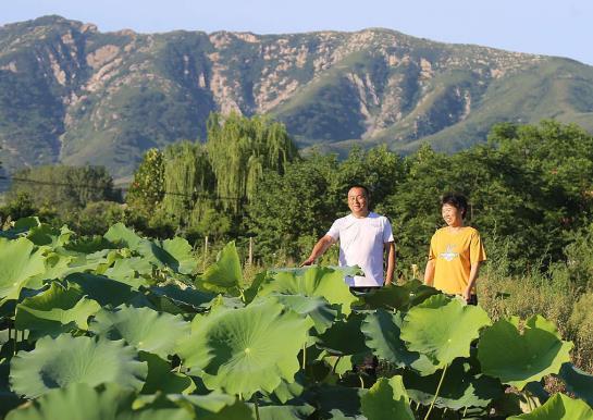 致富果树四川能种吗_四川十大果树苗基地_四川致富经果树