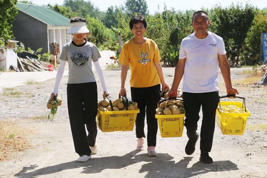 四川十大果树苗基地_四川致富经果树_致富果树四川能种吗