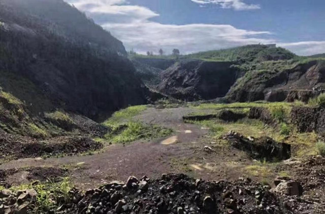 四川致富经果树_四川种植果树_致富果树四川能种吗