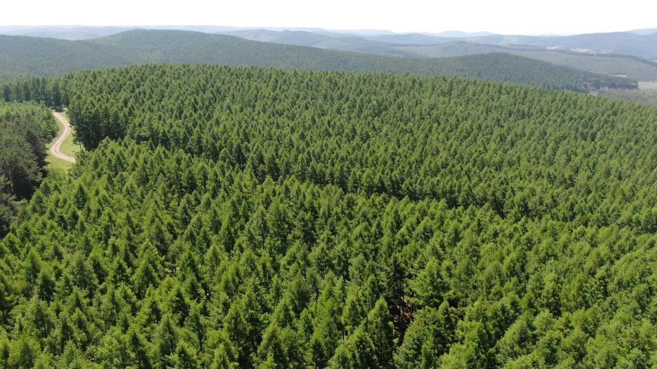 四川种植果树_致富果树四川能种吗_四川致富经果树